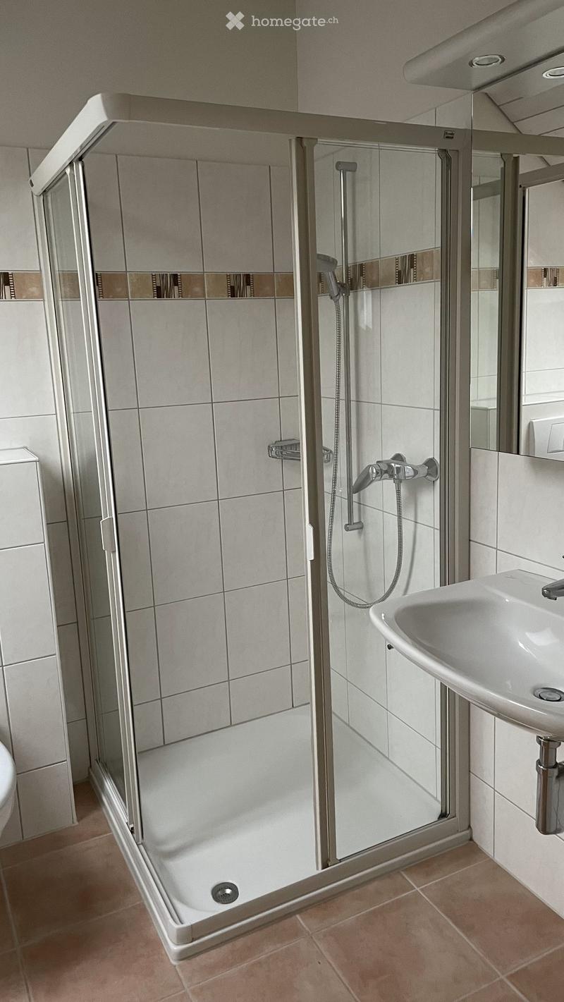 Modern bathroom with a glass-enclosed shower, a white sink, and a toilet. The shower features a handheld sprayer and a fixed overhead showerhead.