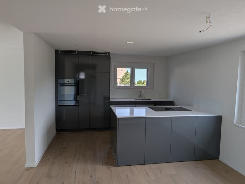 Modern kitchen with grey cabinets, white countertop, sink, and built-in oven. Wooden flooring and large window provide natural light.