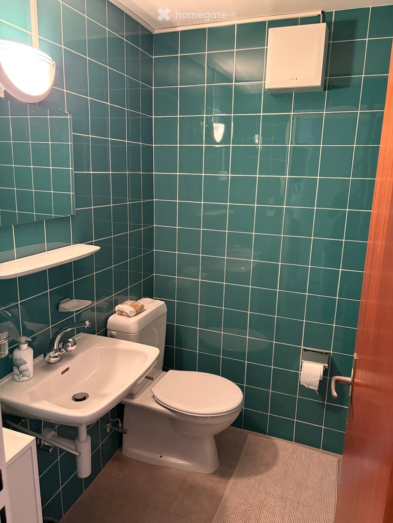 Bathroom with green tiled walls, white sink, toilet, and a small shelf above the sink. A soap dispenser and a mirror are also visible.