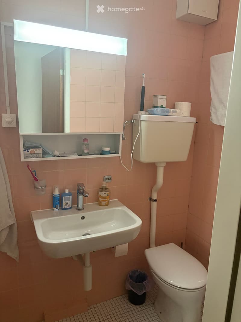 Pink-tiled bathroom with a white sink, mirror, and toilet. Includes a toothbrush holder, soap dispenser, and a towel on the wall.