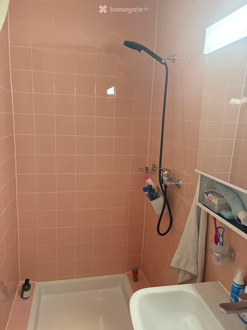 Bathroom with pink tiled walls, bathtub, sink, shower hose, and various toiletries including a toothbrush, toothpaste, and a towel.
