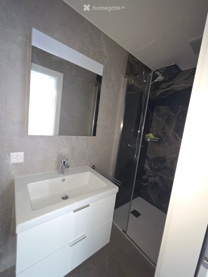 Modern bathroom with a white sink, mirror, and glass-enclosed shower area with dark marble tiles.