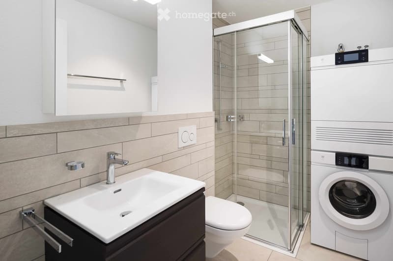 Modern bathroom with a white sink, chrome faucet, toilet, glass-enclosed shower, and a white washing machine/dryer unit.