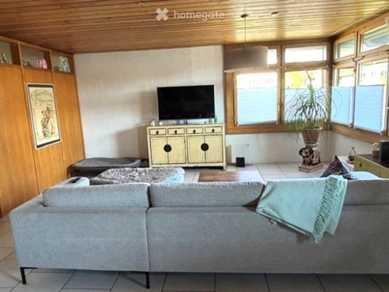 Bright living room with large windows, grey sectional sofa, coffee table, TV on a cabinet, potted plant, and a rug on the floor.