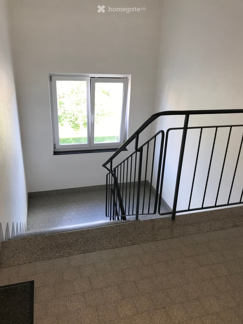Staircase with a black metal railing and a window overlooking a green area.