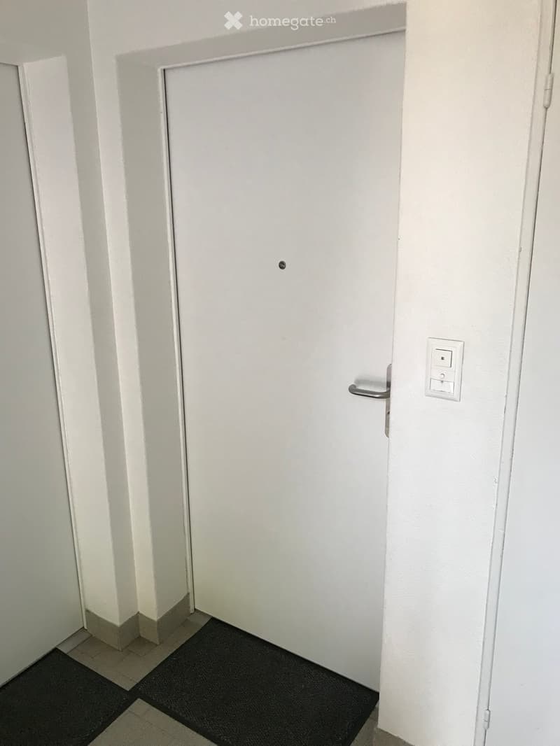 A narrow hallway with a closed white door, a small black doormat, and a light switch on the wall.