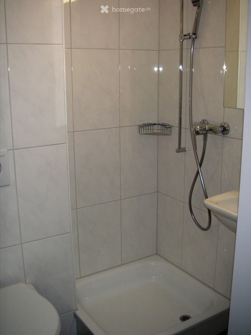 A small bathroom with a toilet, a shower area with a handheld showerhead, a sink, and a small shower rack for toiletries.