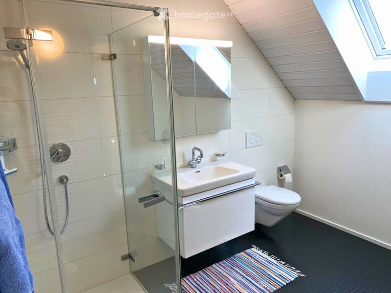 Modern bathroom with a glass-enclosed shower, a white sink with a cabinet, a toilet, a mirror, and a colorful striped rug on the floor.