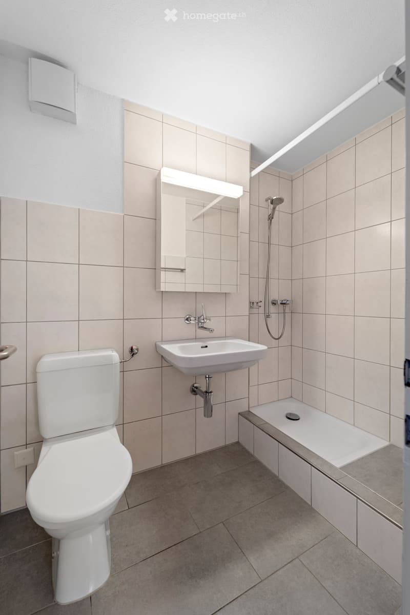 A modern bathroom with white ceramic tiles, a white sink, a toilet with a soft-close seat, a large mirror above the sink, and a walk-in shower with a built-in shelf.