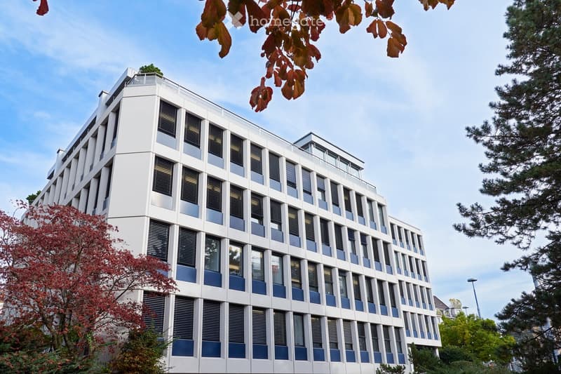 modern white and blue building, 5 floors, numerous windows, glass balcony on top floor, surrounded by trees