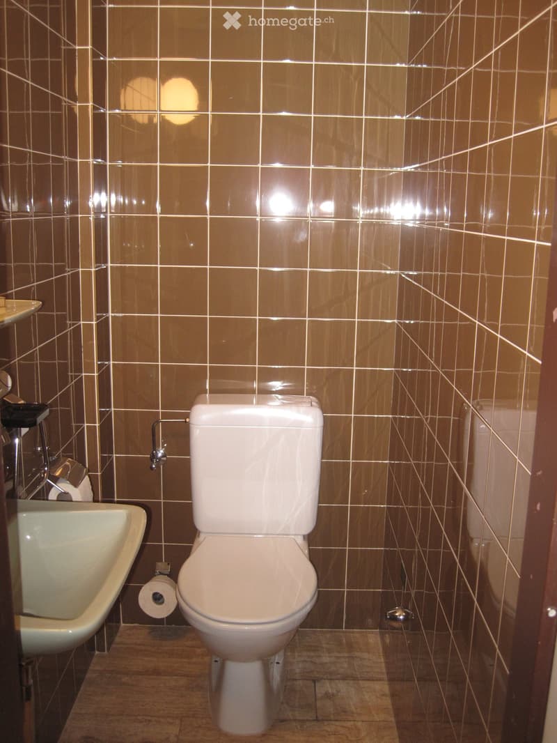 Bathroom with brown tiled walls, a white toilet, a sink, and a roll of toilet paper on the floor.