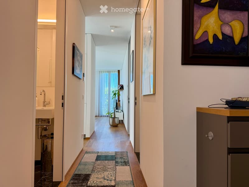 Modern hallway with wooden flooring, neutral-colored walls, and contemporary artwork. Features a small potted plant, a patterned rug, and a small sink area visible on the left side.
