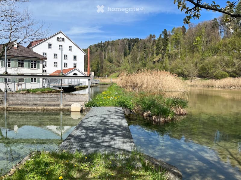 A serene outdoor area featuring a calm body of water with a wooden dock extending into it, surrounded by lush greenery and a white house with multiple windows and a chimney in the background.