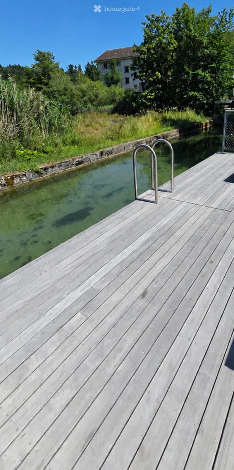 A wooden deck extends over a calm, reflective pool with a metal handrail, surrounded by lush greenery and a distant house.