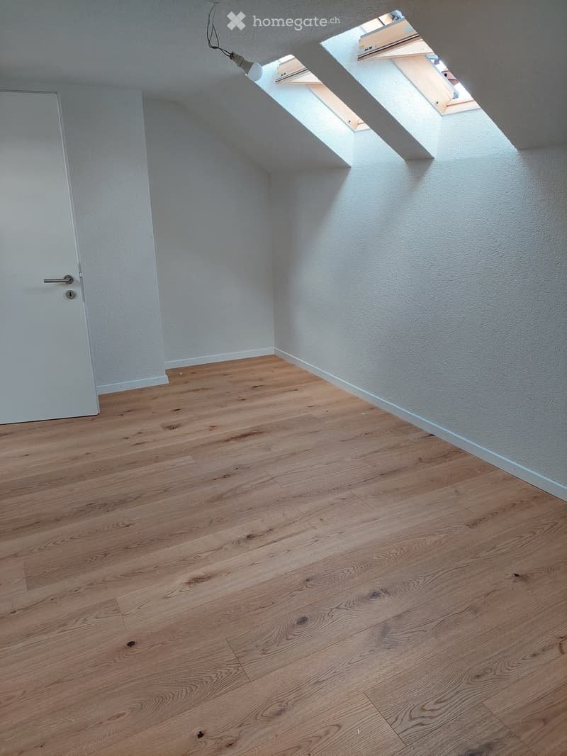 Empty attic room with wooden flooring, white walls, and a skylight window allowing natural light to enter.