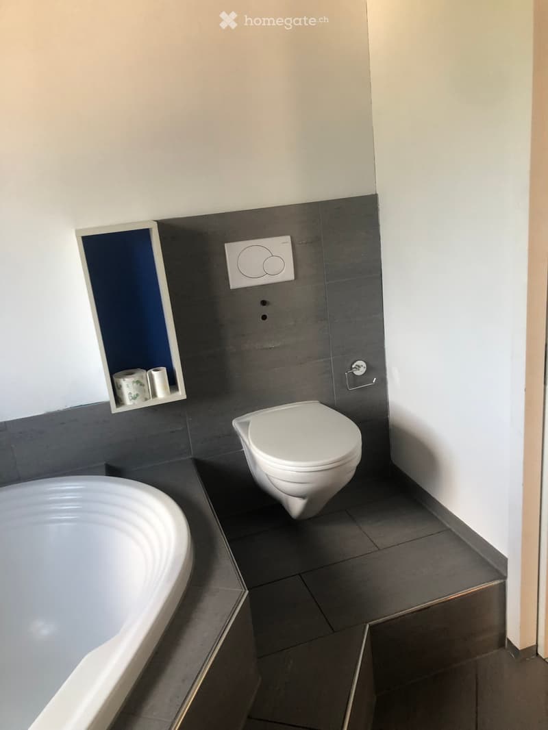 Modern bathroom with dark tiled walls and floor, white toilet, bathtub, and a built-in shelf holding toilet paper rolls.