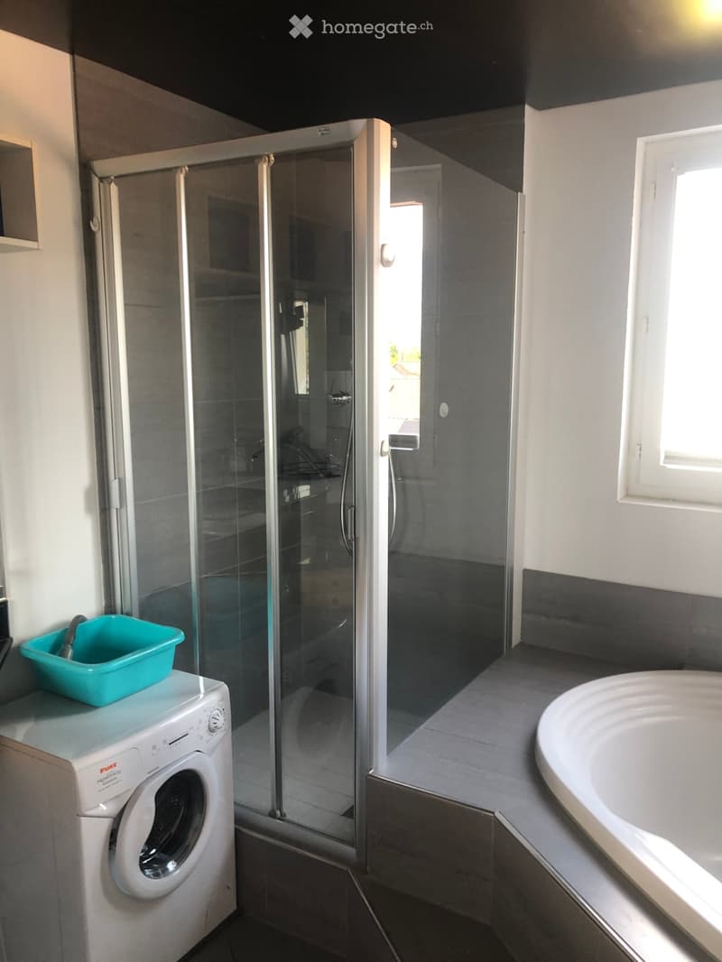 Modern bathroom with a glass-enclosed shower, a white washing machine, and a white sink.