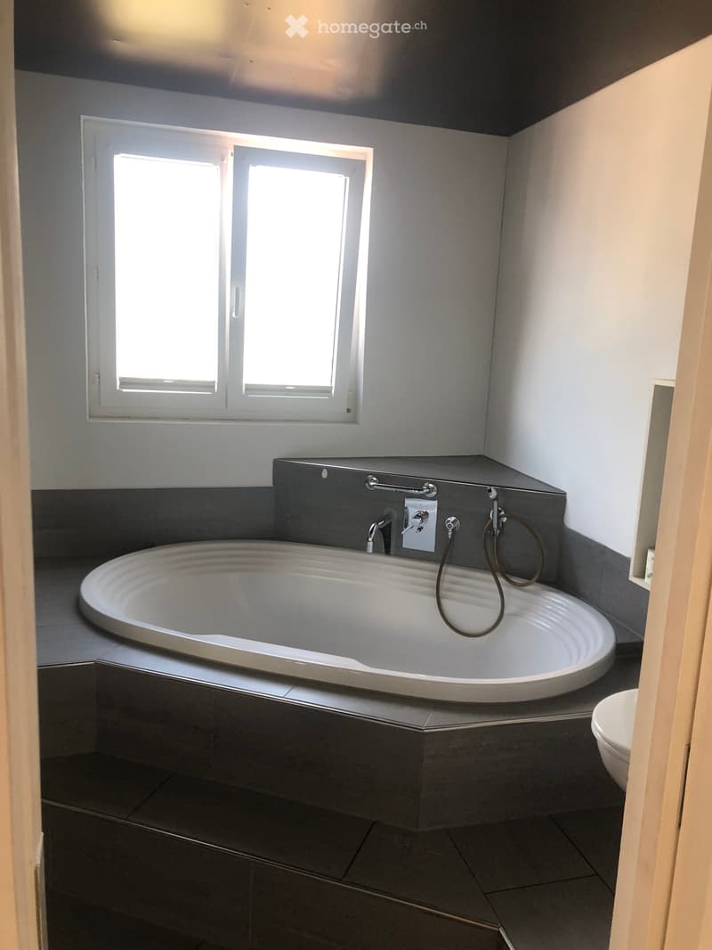 Modern bathroom with a large, oval bathtub, sleek faucet, and a toilet. The space features dark tiled walls and floor, with a window providing natural light.