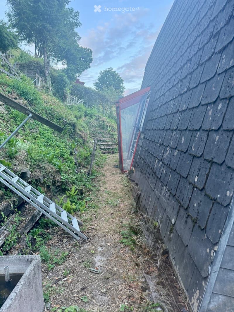 A narrow, overgrown pathway leading to a red-roofed outbuilding, surrounded by greenery and a wooden fence on one side.
