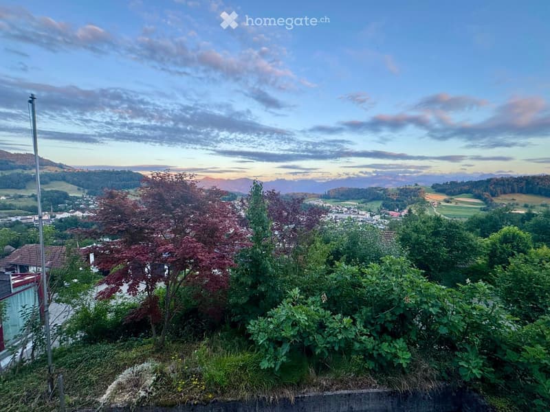 A scenic view from a garden or outdoor area, showing a town with houses, trees, and distant mountains under a partly cloudy sky.