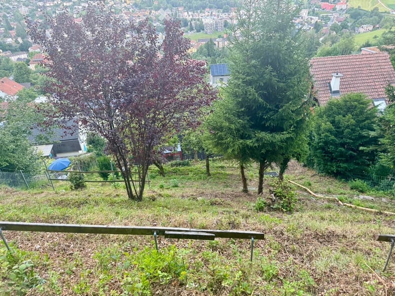 A sloped garden area with trees, grass, and a fence, overlooking a town with houses and buildings in the background.