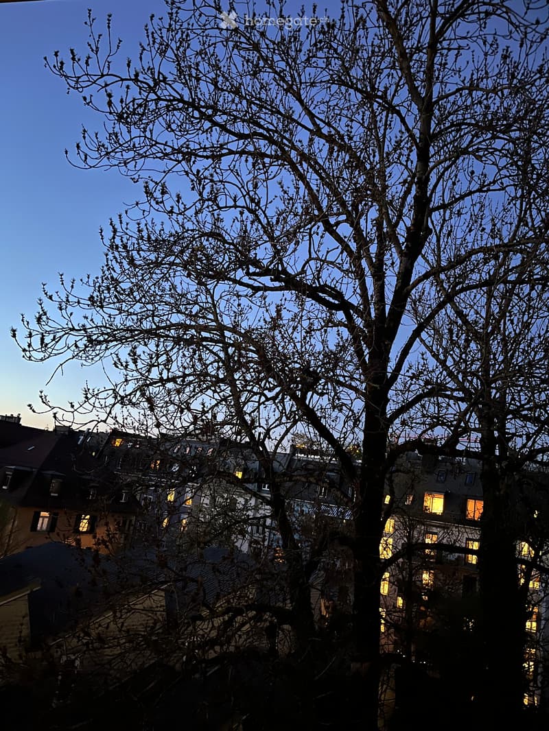 Blick auf Innenhof von Küche Winter