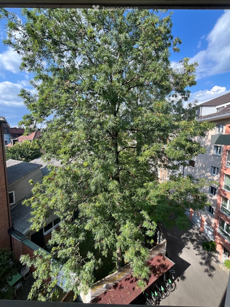 Blick auf Innenhof von Küche Sommer