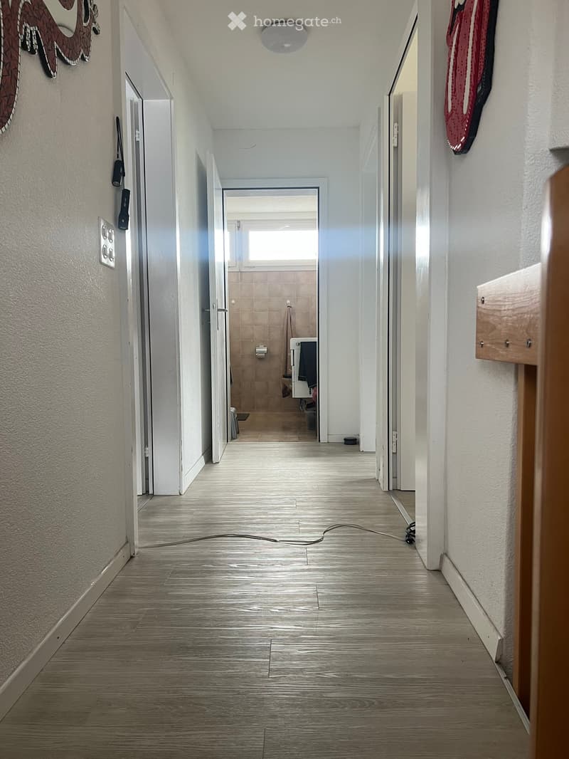 Clean, modern hallway with light-colored wooden flooring, white walls, and several doors leading to different rooms. A small bathroom is visible at the end of the hallway.
