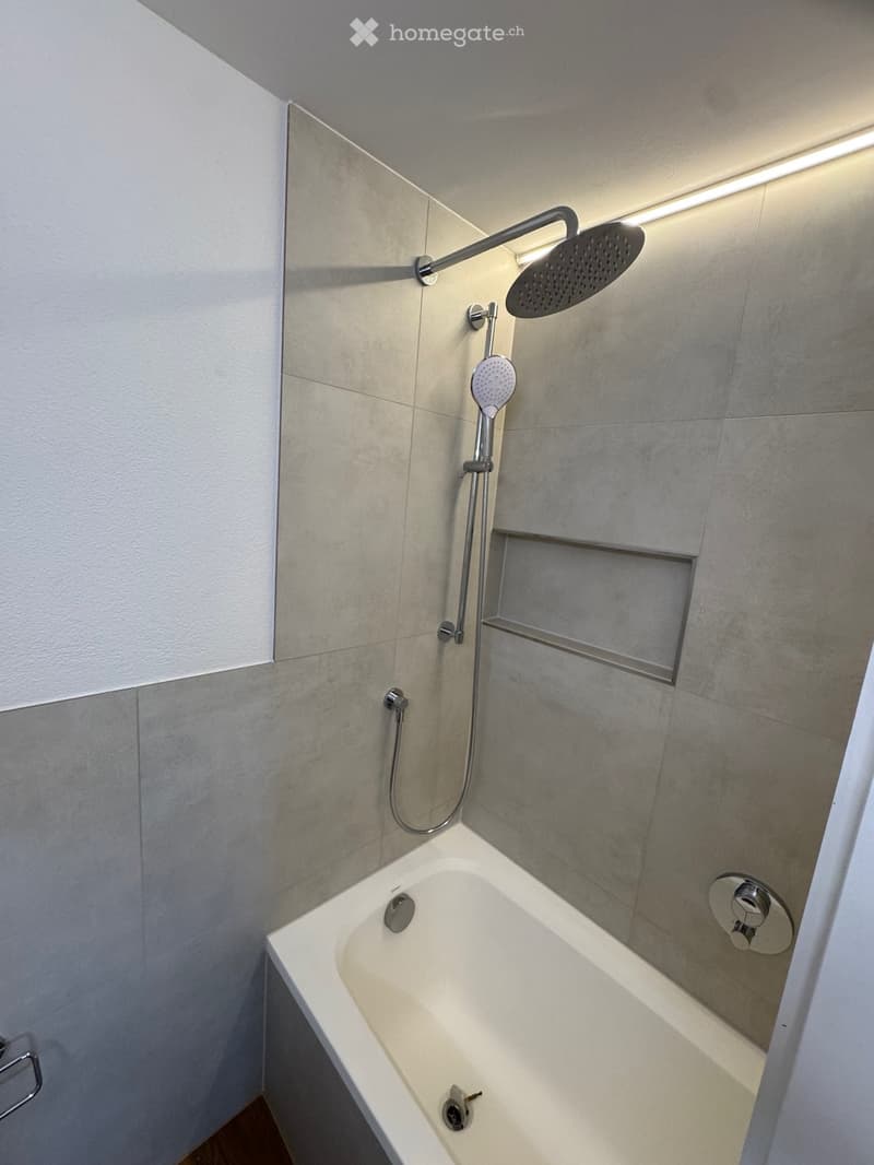 Modern bathroom with a white bathtub, a handheld showerhead, a fixed showerhead, and a small shelf for storage.