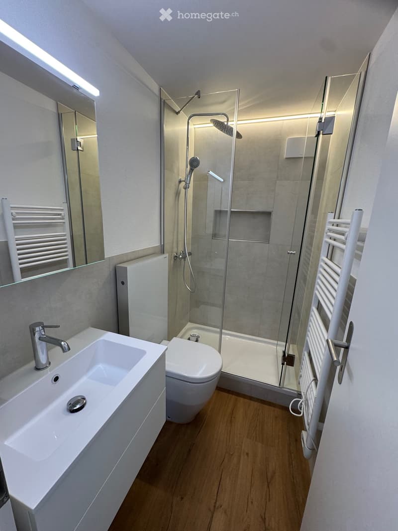 Modern bathroom with a white sink, chrome faucet, toilet, glass-enclosed shower, and white radiators on both sides.