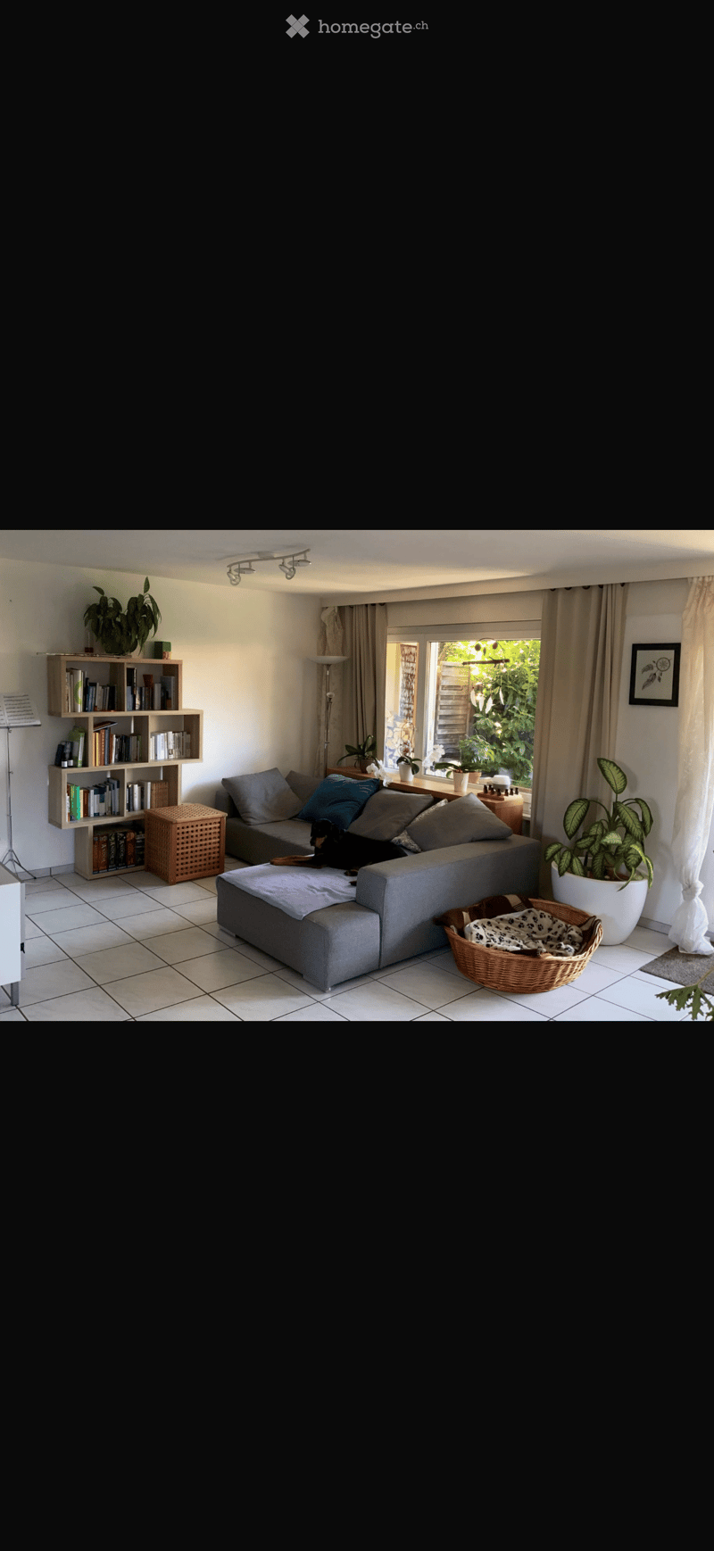 Modern living room with a grey sectional sofa, wooden bookshelf, potted plants, and a dog bed. The room features large windows with curtains and a tiled floor.