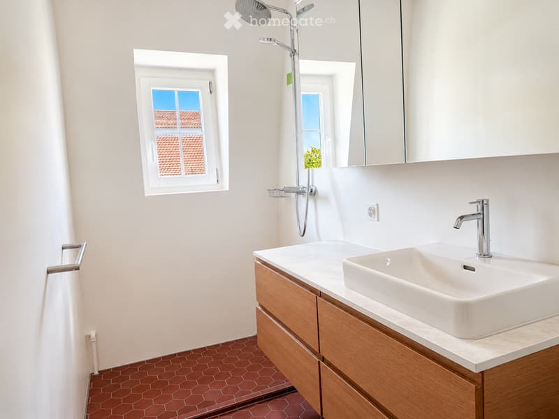 Modern bathroom with a white sink, wooden cabinet, mirror, and a shower with a handheld sprayer. The room features hexagonal red tiles on the floor and a window with a view of a tiled roof.