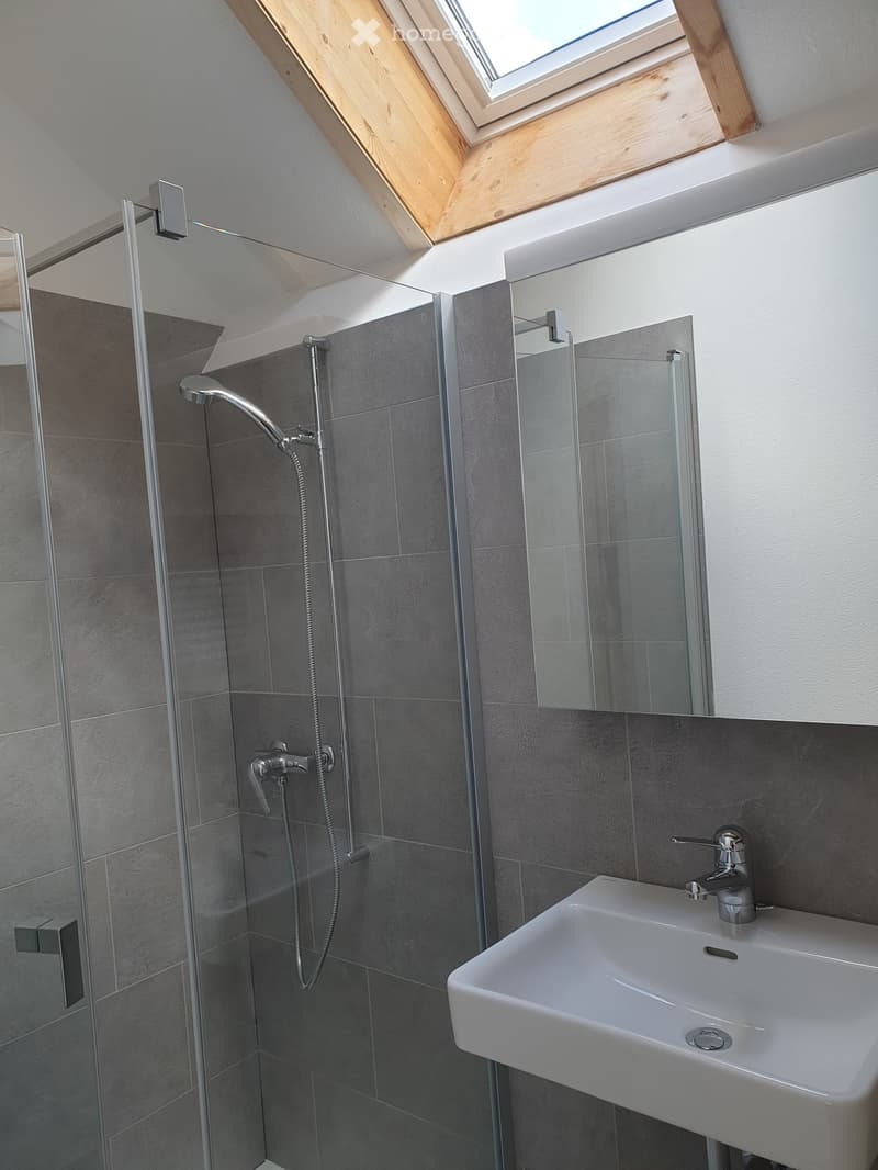 Modern bathroom with a glass-enclosed shower, a white sink with a chrome faucet, and a large mirror above the sink. The shower features a handheld showerhead and a fixed showerhead.