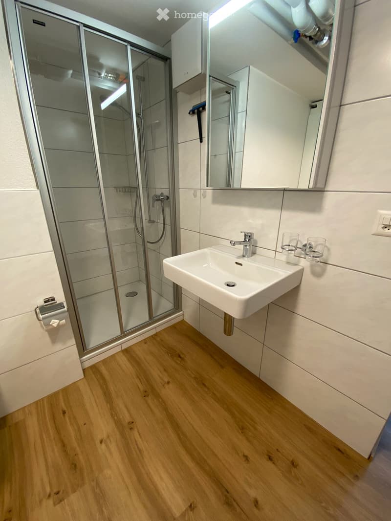 Gemütliche 2-Zimmer-Wohnung im Erdgeschoss in Brienz (7)