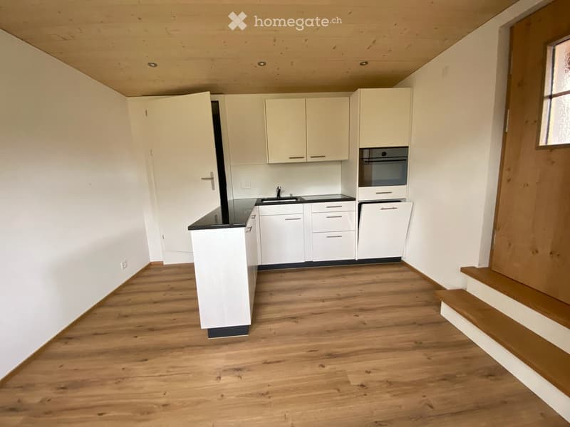 Gemütliche 2-Zimmer-Wohnung im Erdgeschoss in Brienz (2)