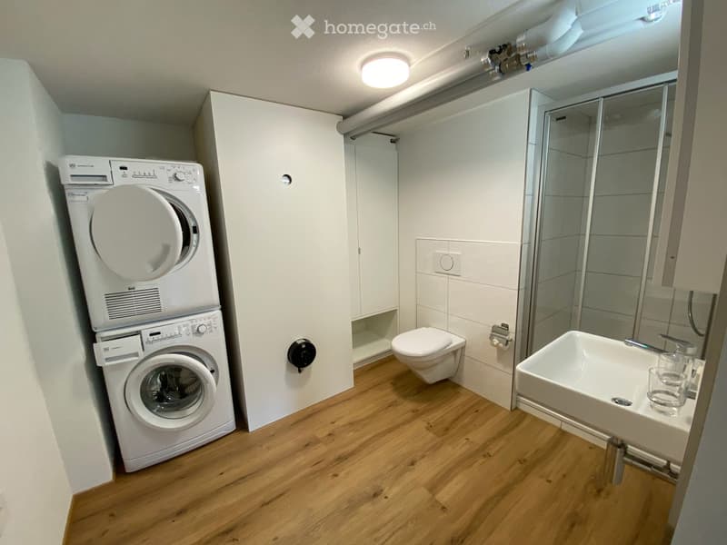 Gemütliche 2-Zimmer-Wohnung im Erdgeschoss in Brienz (6)