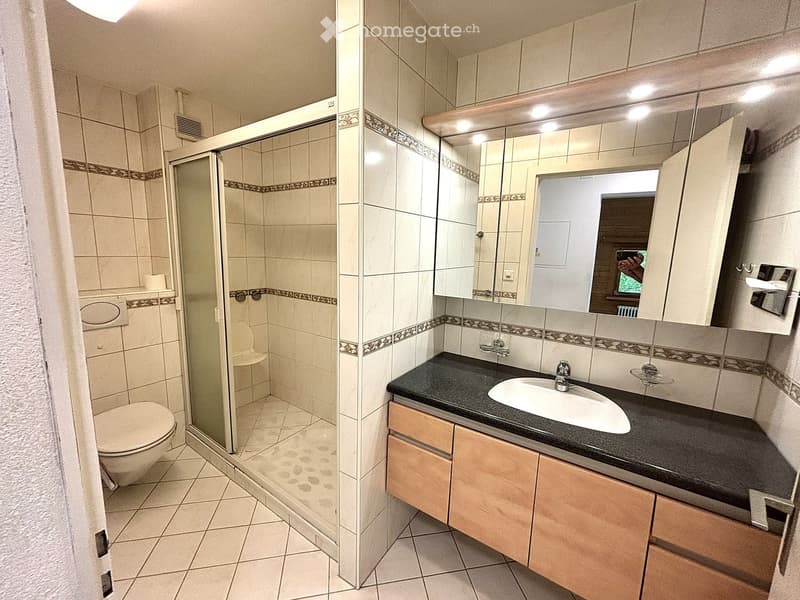 Bathroom with a toilet, shower, sink, and mirrored cabinet. The shower has a glass door, and the sink is on a dark countertop with wooden cabinets.