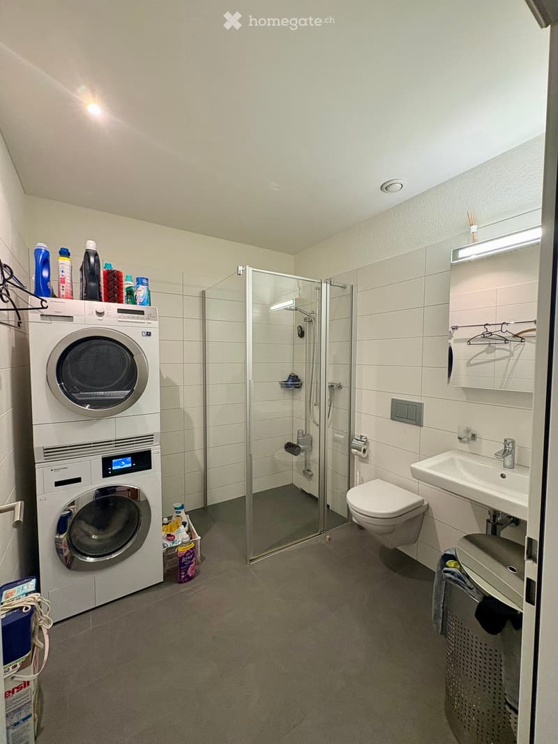 Modern bathroom with a washing machine and dishwasher unit, toilet, sink, shower, and mirror. Cleaning supplies are stored on top of the washing machine.