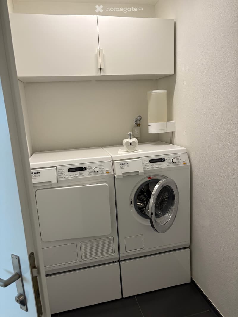 Einliegerwohnung in Schenkon (2)
