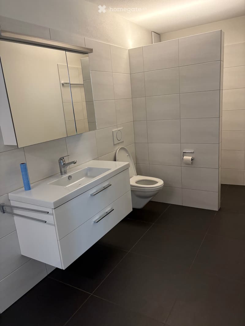 Einliegerwohnung in Schenkon (6)
