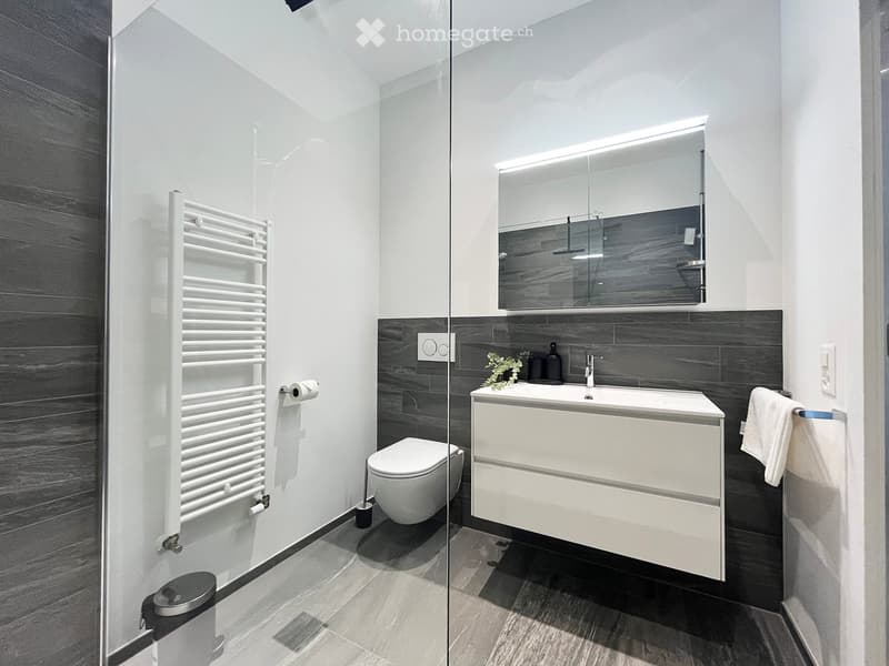 Modern bathroom with gray tile walls, white vanity with sink, toilet, and heated towel rack
