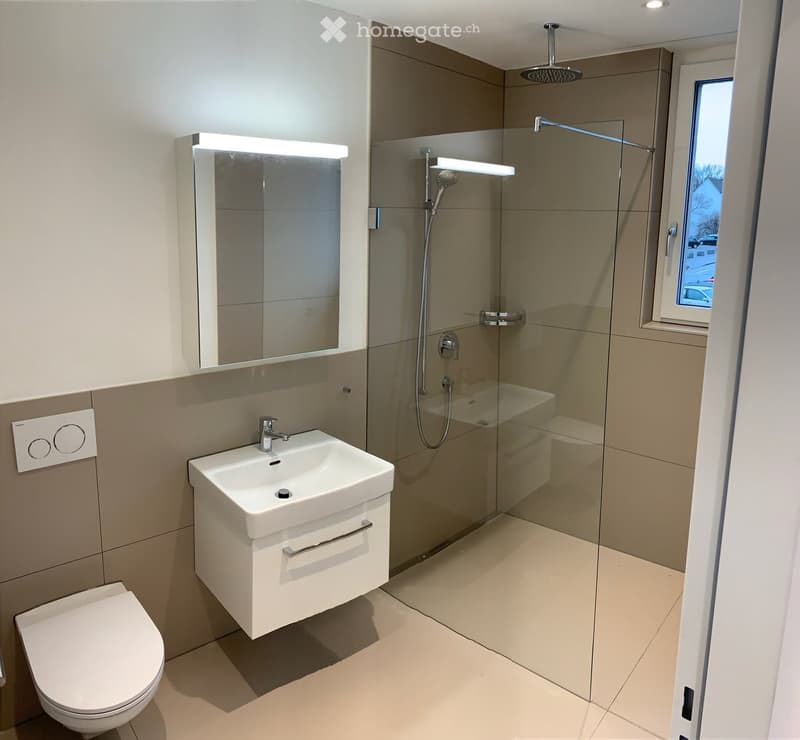 modern, beige walls, white sink, glass shower door, silver shower head, white toilet