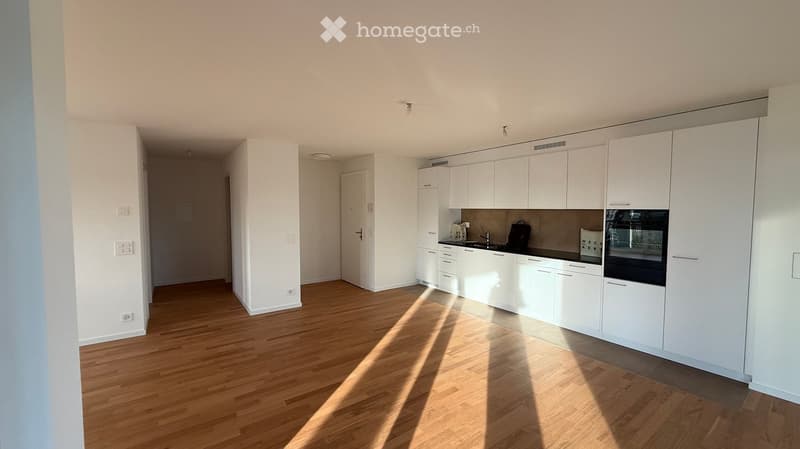 Modern kitchen with white cabinets, wooden flooring, and built-in appliances including a sink and oven.
