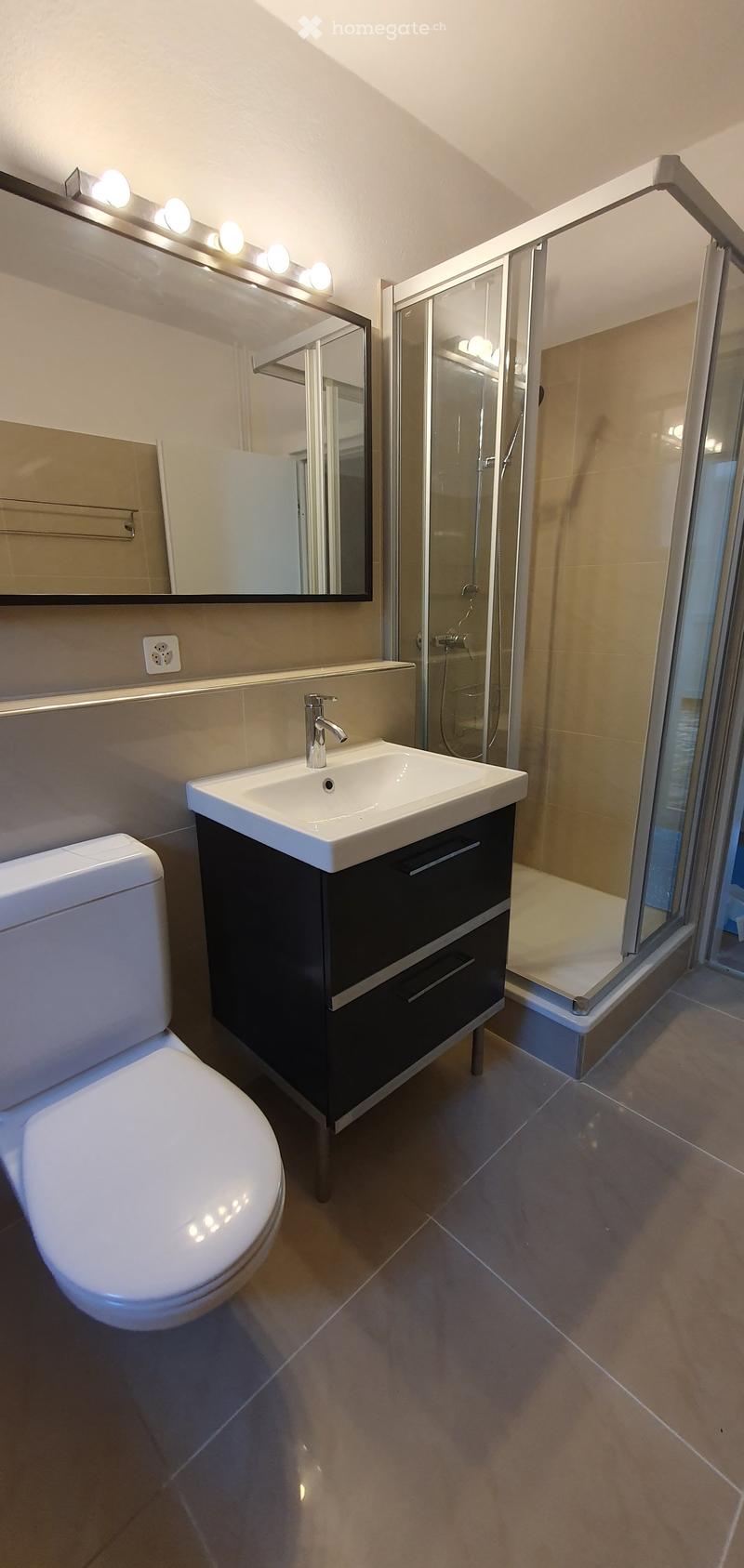 Modern bathroom with a white toilet, black vanity with a sink, a large mirror with built-in lighting, and a glass-enclosed shower.