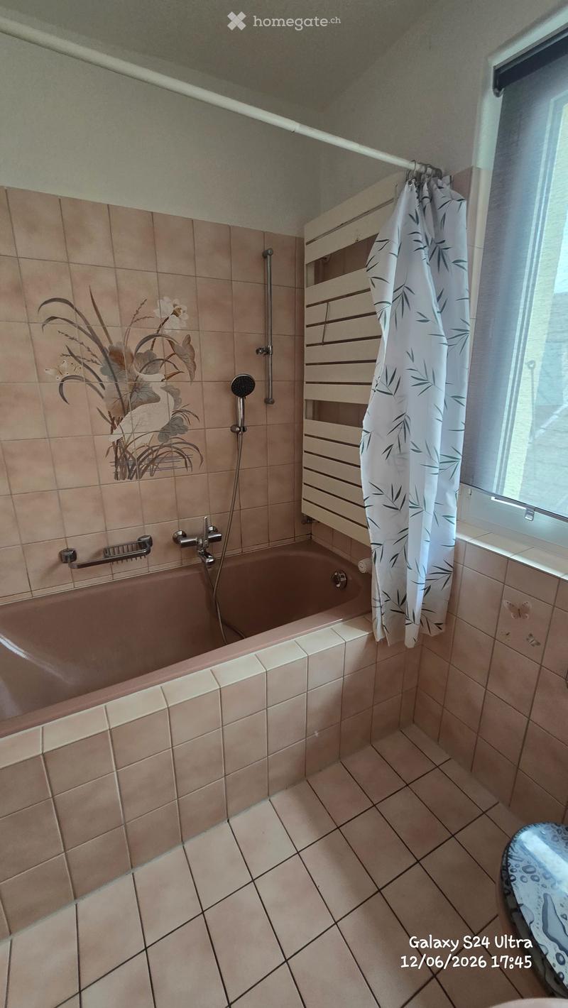 Charmantes 5.5-Zimmer-Reihenhaus in Trimbach – sofort verfügbar! (5)