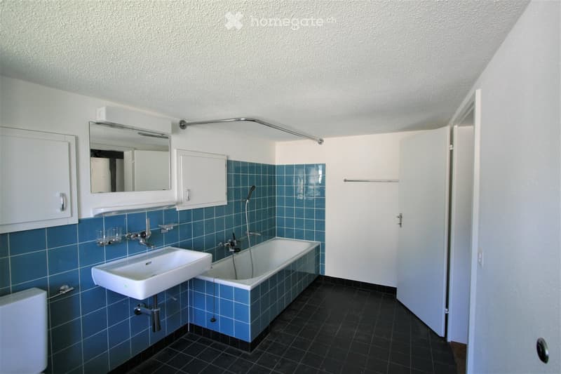 Bathroom with blue tiled walls, white sink, bathtub, mirror, and cabinet. Features a shower hose and a partially open door leading to another room.