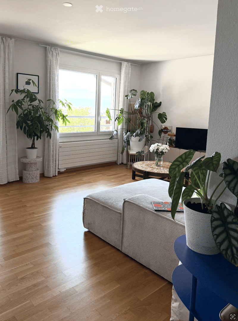 Bright living room with wooden flooring, large windows, and a view. Features a sofa, coffee table, side table, potted plants, and a television.