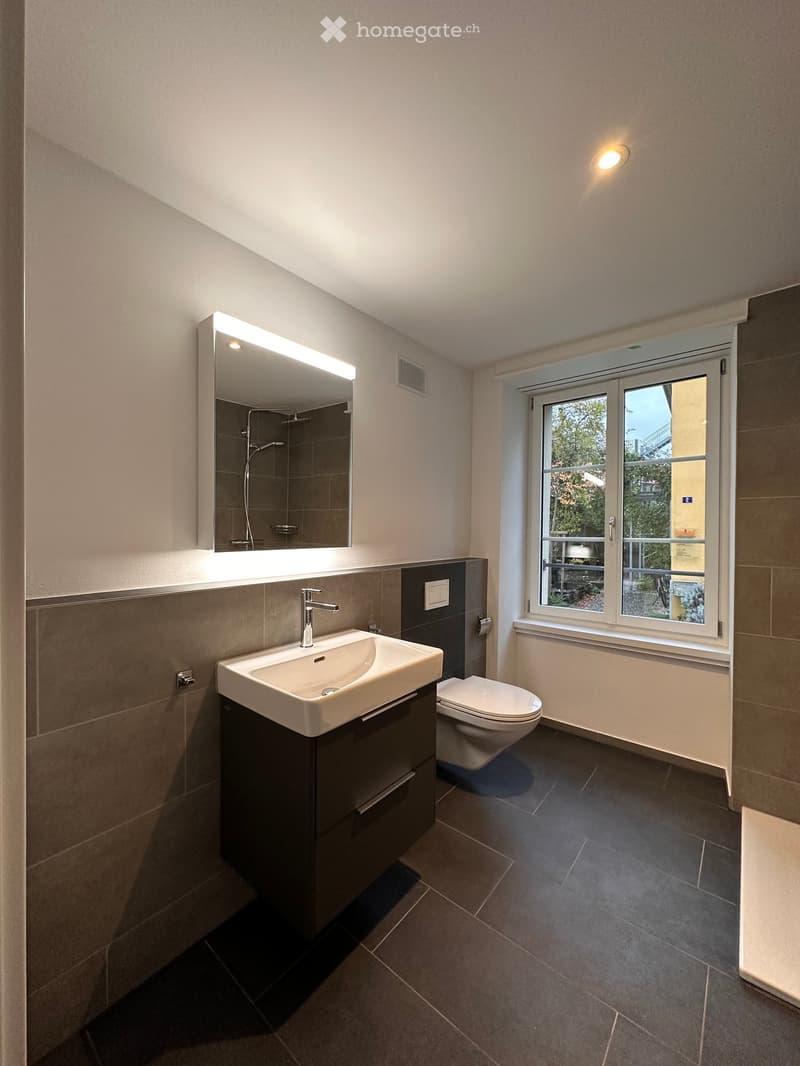 Modern bathroom with a white sink, chrome faucet, large mirror with built-in lighting, toilet, and a shower area visible behind the mirror. The room features dark tiled walls and floor, and a window with a view of greenery outside.