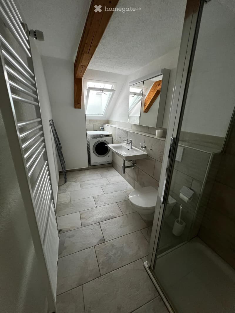 Modern bathroom with a washing machine, sink, toilet, and a glass-enclosed shower area. The room features tiled floors and walls, a radiator, and skylight windows.
