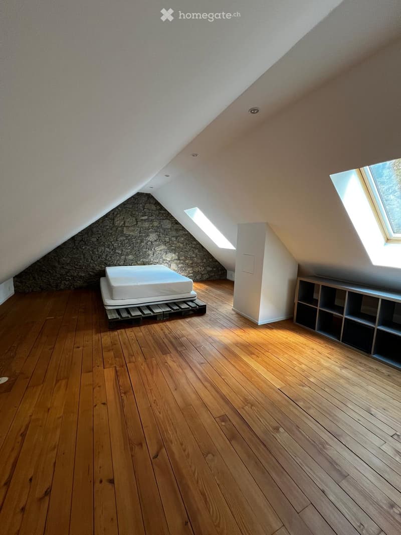 Attic room with wooden flooring, slanted ceiling, skylight windows, a bed on a platform, and a built-in shelf unit.